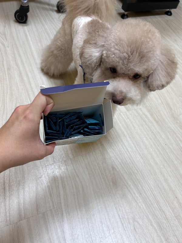 女人知己試用大隊,口碑行銷,部落客行銷,Moegis萌吉 腸道生機專利RBE益生菌,寵物益生菌,專利RBE益生元,專利蔬果酵素,小分子胜肽,藍藻粉,維持免疫力,幫助維持消化道機能,維持正常食慾,改變細菌叢生態,腸胃保健,犬貓適用